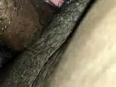 Puma matură amatoare este futută de un penis mare