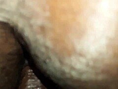 Closeup dubur berbulu wanita gemuk yang penuh dengan zakar hitam yang besar