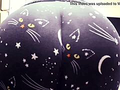 Mamas com grandes traseiras em calças de gato exibem suas curvas sedutoras