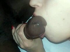 MILF latina avec un gros cul se rassasie d'une grosse bite noire